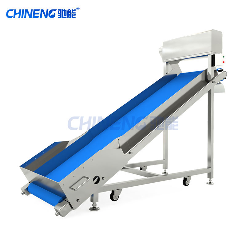 Cleaning line for vegetable processing