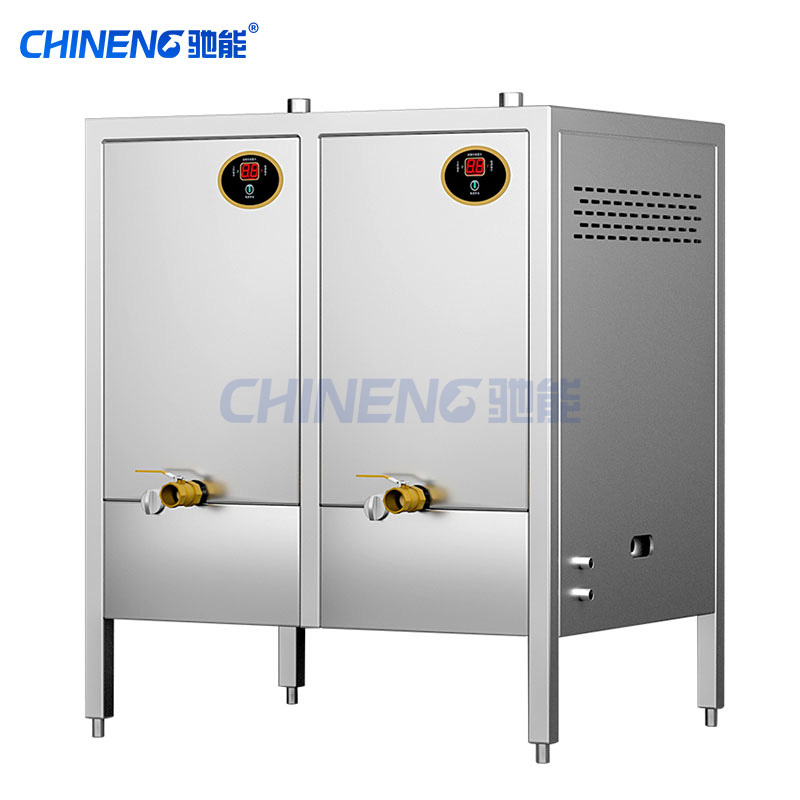 Wall mounted steam generator