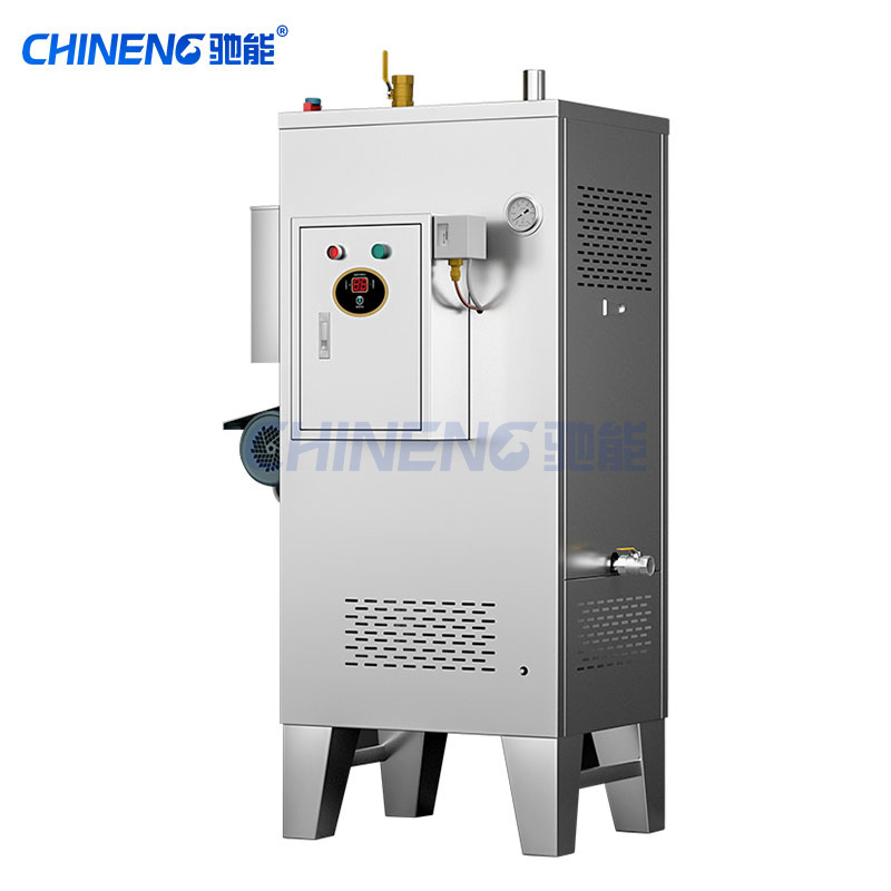 Wall mounted steam generator